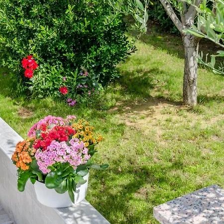 Family-friendly With Swimming Pool Baska, Krk - 19432 באסקה